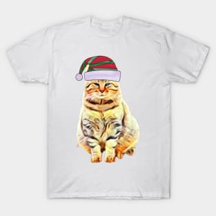 Merry Christmas 2021, Cat with a hat, Christmas gift T-Shirt